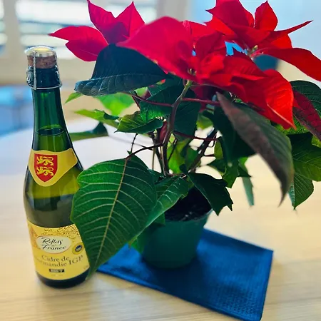 Duplex Marina L'ancre Marine Appartamento Deauville