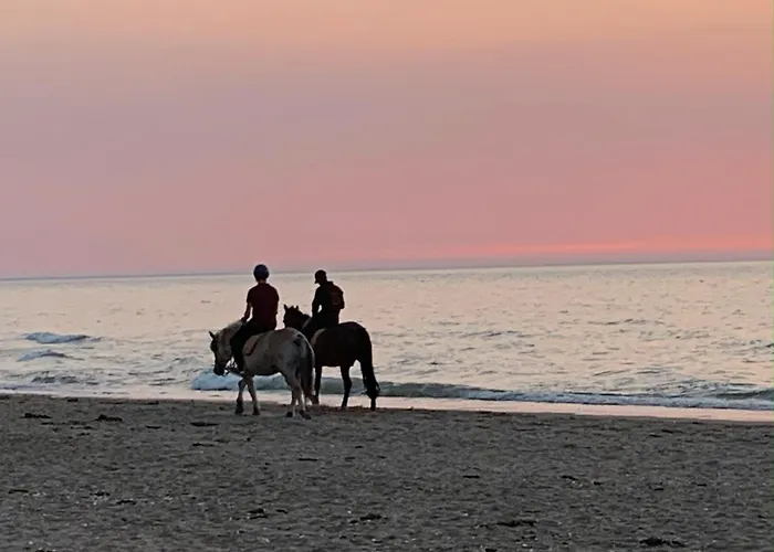 Duplex Marina L'ancre Marine *